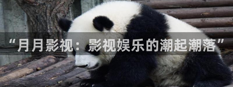 水蜜桃午夜影院