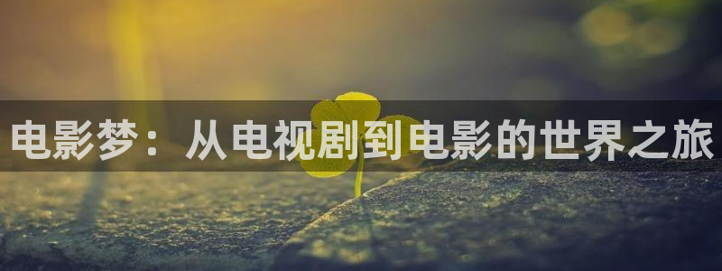 蜜桃影视精品：电影梦：从电视剧到电影的世界之旅