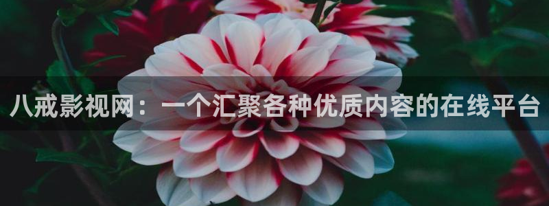 蜜桃什么电影：八戒影视网：一个汇聚各种优质内容的在线平台